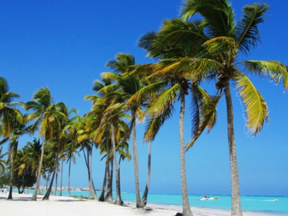 🏡 Rentabilidad garantizada: Casas en Punta Cana en venta para inversores inteligentes